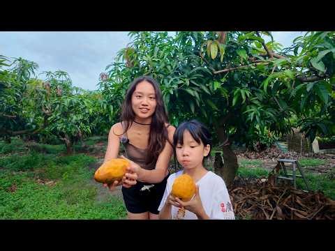I Spent a Day With Farmers in Rural Taiwan