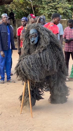 Quim Fàbregas on Instagram: "La Kumbala y el Kumpo son manifestaciones rituales fundamentales del pueblo Diola (Jola), en el sur de Senegal (Casamance), también presentes en Gambia y Guinea-Bisáu. Ambas están ligadas al mundo espiritual, la cohesión comunitaria y el orden social. 🔸 El Kumpo Es la figura espiritual más emblemática de los Diola. • Representa a un espíritu de la naturaleza y de los antepasados. • Aparece cubierto de fibras vegetales, sin rostro visible. • No habla directamente: se