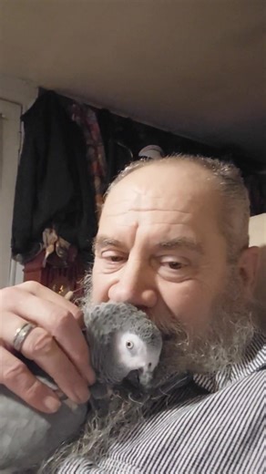 Grasshopper when I get home | Gary Taylor