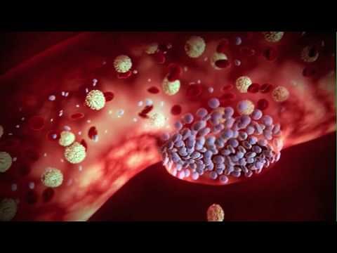 The Role of Proteins in Blood Clotting