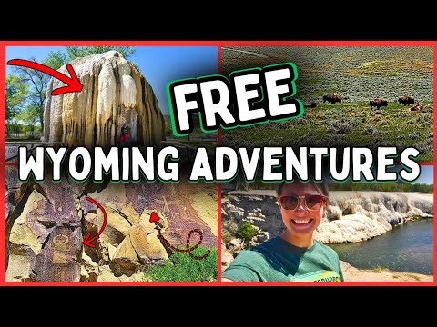 10,000-Year-Old Petroglyphs + Wild Bison & Hot Springs | Thermopolis Wyoming Day Trip Vlog