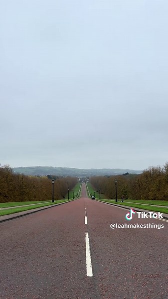 The most lovely little Autumn walk in Belfast 💛 #fyp