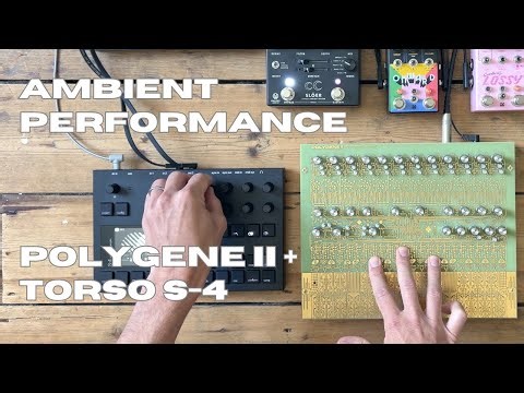 Ambient Performance // Polygene II // Torso S-4 // Onward // Lossy // Slöer