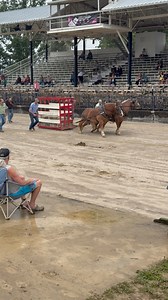8K views · 63 reactions | Horse Pulling in Wellington, Ohio. | Beer Money Pulling Team | Facebook