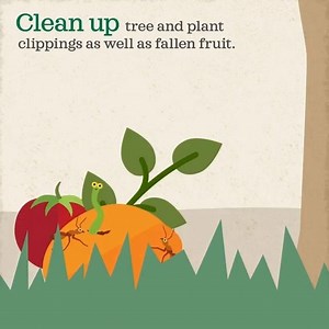 115K views · 31 reactions | Is there something rotting in your...