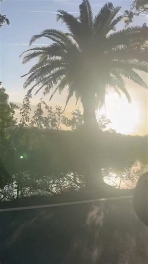 Florida back roads... song by Tom MacDonald note:￼ He's not suicidal
