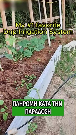🌿 Θέλεις τέλειο πότισμα χωρίς κόπο; Το Σετ Αυτόματου Ποτίσματος καλύπτει έως 250 τ.μ. και περιλαμβάνει πάνω από 90 αξεσουάρ με 100 μέτρα σωλήνα! ✔ Πλήρως αυτόματο σύστημα ✔ Έως 97% εξοικονόμηση νερού ✔ Ιδανικό για κήπο, βεράντα, θερμοκήπιο Τελευταία κομμάτια σε προσφορά – μόνο 39€! | Shop Offer