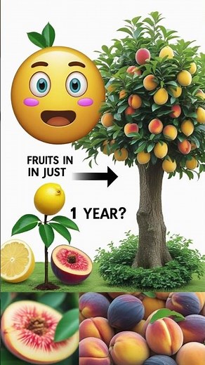 9 Fast Growing Fruit Trees at Home