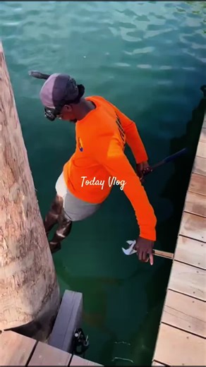 MindBox Mavvo on TikTok