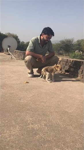 🥹🥹🥹🥹 #dogs #shorts #shortsfeed