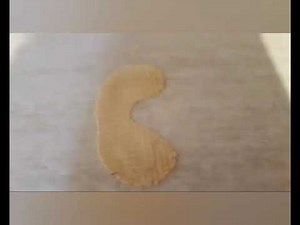 Busy Beavers - The Alphabet Song