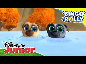 Bingo y Rolly : Canta con Bingo y Rolly vol. 3 | Disney Junior Oficial