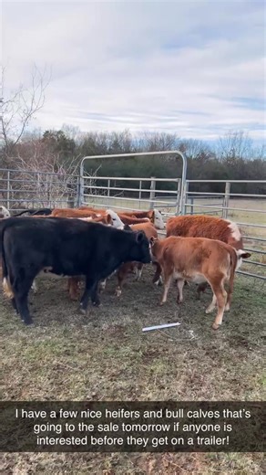 3D Farms of Judsonia on Reels