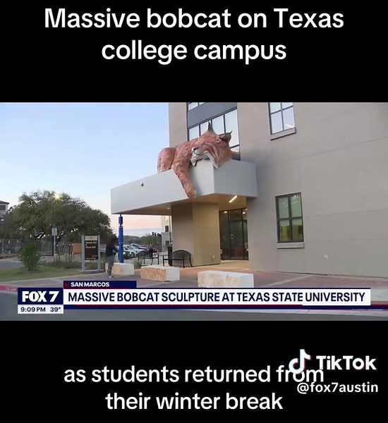 Massive Bobcat Sculpture at Texas State University