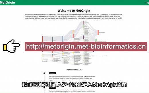 iMeta | MetOrigin代谢物溯源和肠道微生物组与代谢组整合分析保姆级教程