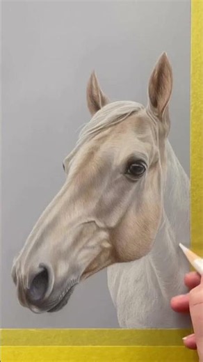 Drawing a Palomino Horse with Colored Pencils