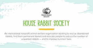 ✨ Meet the rabbit rescue nonprofit organizations that helped make #TaskRABBITS happen 🐰 In order to pull off our #AprilFools joke we partnered with several non-profit partners in the U.S. and U.K. that specialize in rabbit rescue and care 💚 We admire all the work they are doing and that's why #TaskRabbit will be donating $1 from the first 4,000 tasks booked on April 1, 2021 to these organizations. ✨ Head to our stories to learn more. . 🐰 House Rabbit Society 🐰 House Rabbit Society is an inte