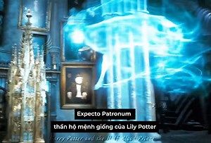 2.2M views · 64K reactions | Severus Snape - Bậc Thầy Độc Dược Mang Trong Mình Tình Yêu Vĩnh Cửu Với Lily Potter. #Kong | Potterheads- Hội những người đam mê Harry Potter | Facebook