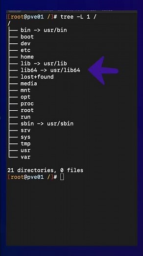What Do lib and lib64 Actually Do in Linux?