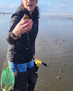 363K views · 481 reactions | I can't believe this was in the sand 﫣 | LADbible Australia | Facebook