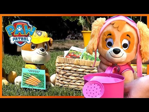 The Pups Plant a Fruit and Vegetable Garden - PAW Patrol - Toy Pretend Play Rescue for Kids