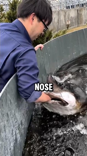 Man Catches Longest Nose Fish?!