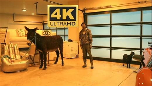 【MV首播】NBA YoungBoy - Act A Donkey (Official Video)