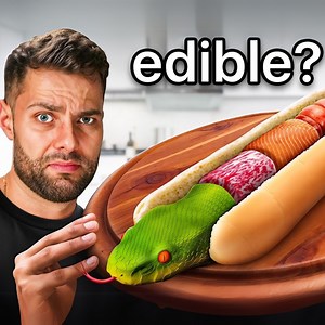 I Made Hot Dogs from Every Animal! 🐪 🌭 | MaxTheMeatGuy
