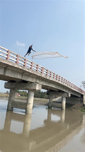 Net fishing over the bridge #netfishing #handfish #fishingequipment #fishing