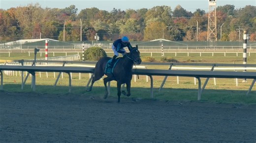 18 reactions | PA Bred filly Rama Bama Lama & jockey Andy Hernandez won Tuesday’s finale for owner/trainer Hugo Padilla at Parx Racing - 10/21/25 | Let's Go Racing Parx | Facebook