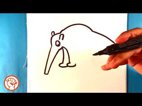 How to Draw an Anteater - Easy Pictures to Draw