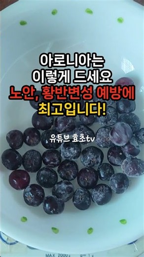 아로니아는 이렇게 드세요. 노안, 황반변성 예방에 최고입니다! #아로니아 #아로니아효능 #노안 #황반변성