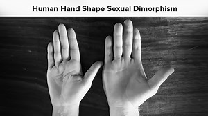 VIDEO: CARTA: The Evolution of Human Physical Activity - David Carrier - The Anatomical Basis of Aggression in Hominins