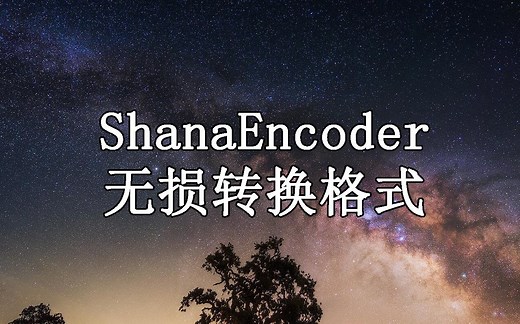 ShanaEncoder无损转格式