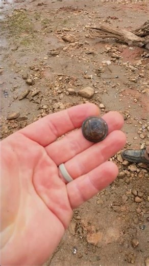 Incredible Drained Lake Metal Detecting Find!!! #metaldetecting #treasure