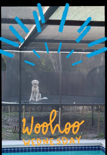 Briar Rose (@briar.rose728)’s videos with Sneaky Shenanigans - Solis