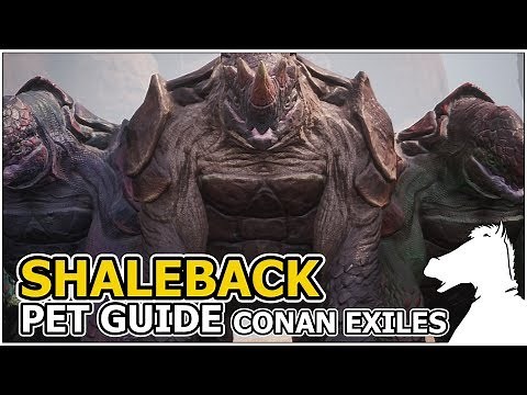 SHALEBACK | Pets Guide | CONAN EXILES