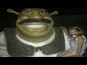 memes but they get worse as you watch