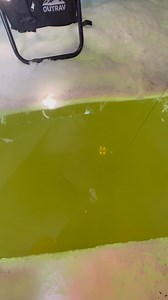 Having some fun swimming my favorite decoy. I turned off the camera. Then 30 seconds later I turned it on again in the next video. | Tempt-Lure