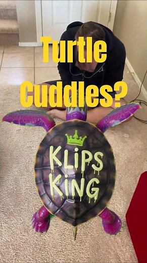 Proof Turtles Can Be Affectionate Too