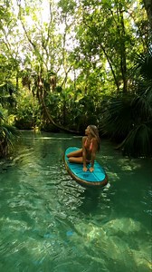 45K views · 810 reactions | Tropical daydreams﫧✨ #wanderlust #peace #calm #tranquility #paradise #nature #swimming #paddleboarding #forestbathing #naturetherapy #travelblogger #NaturalBeauty #beautifuldestinations #florida #floridasprings #clearwater #forest #river #nomad | Lakewet | Facebook