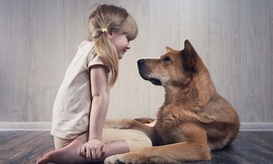 Can Dogs Understand English?