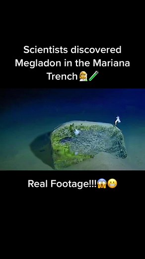 Real Megalodon Footage in the Mariana Trench