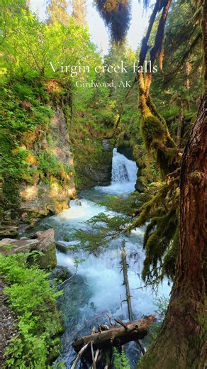 Explore Virgin Creek Falls: A Hidden Gem in Girdwood, AK