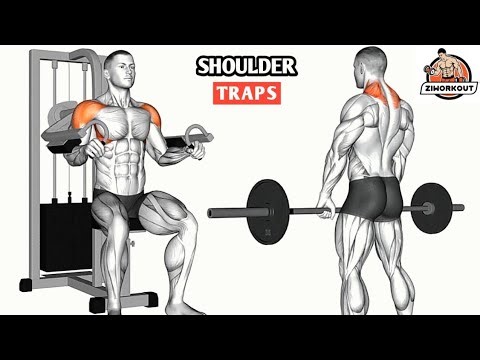 How to Grow Traps and Shoulders Fast | Gym Workout
