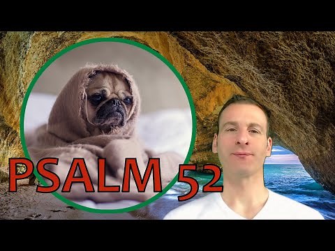 Psalm Chapter 52 Summary and What God Wants From Us