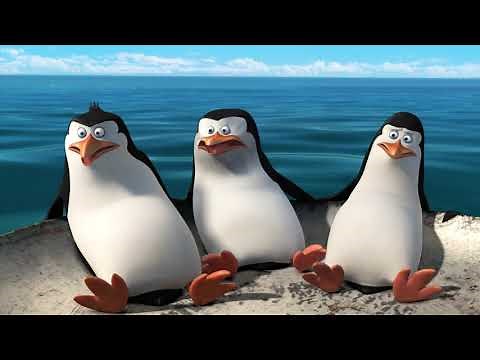 DreamWorks Madagascar em Português | Dança tapa | Os Pinguins de Madagascar | Desenhos Animados