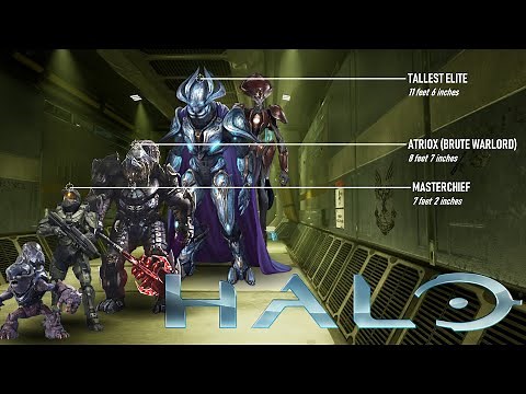 The Tallest Warriors of the HALO Universe - Height comparison