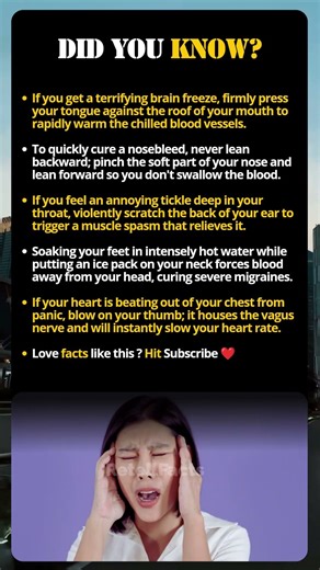 Cheat Codes For The Human Body