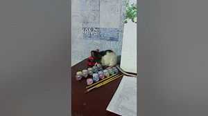 Are Rats Cuddly Pets?